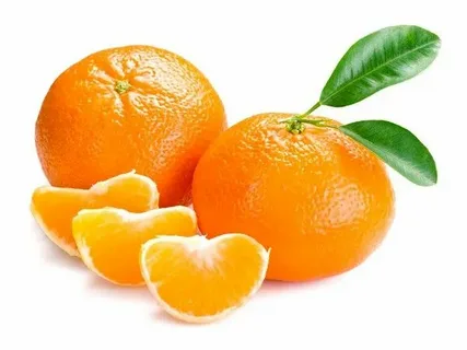 تصویر 4 از خرید و فروش کنسانتره نارنج جنگلی + فروش عمده